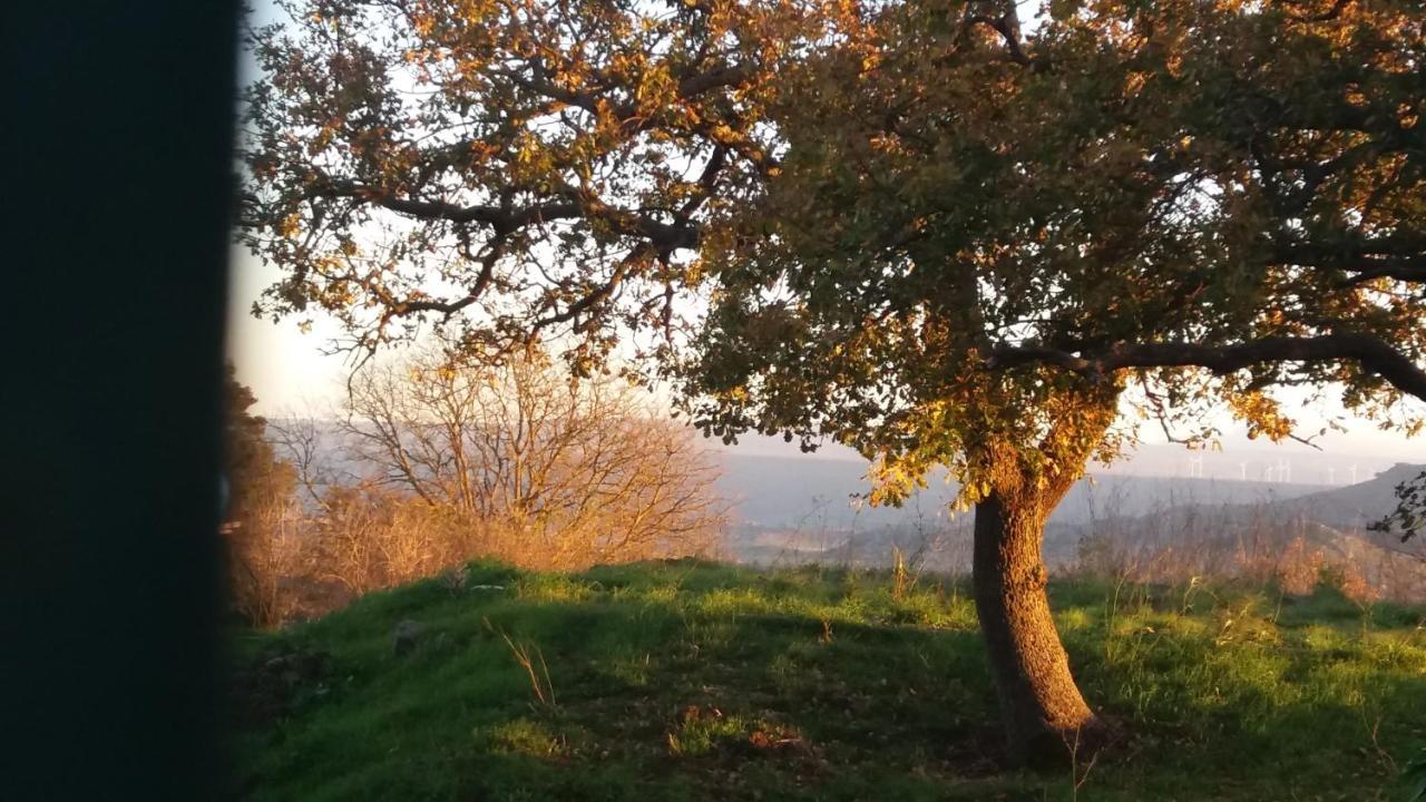 Su Montiju De Sa Falada Manna Cheremule Dış mekan fotoğraf